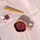 Blooming Flower Tea | Shangri-la Rose | Single Pack