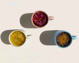 NEW Floral Tea Tasting Sampler